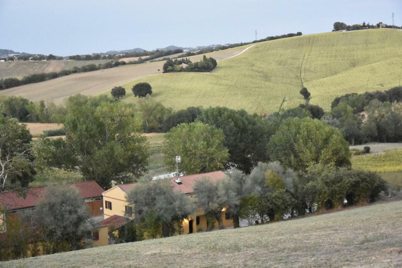 Agriturismo Fattoria Del Colle Villa Jesi Exteriör bild