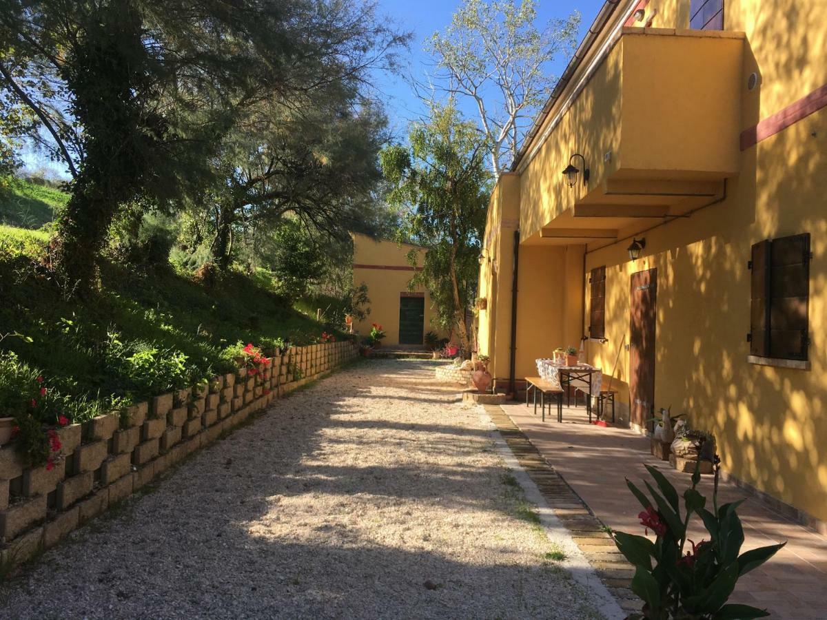 Agriturismo Fattoria Del Colle Jesi Exteriör bild
