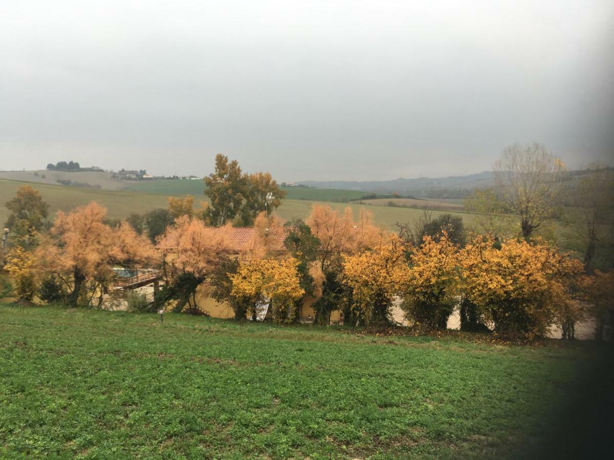 Agriturismo Fattoria Del Colle Jesi Exteriör bild