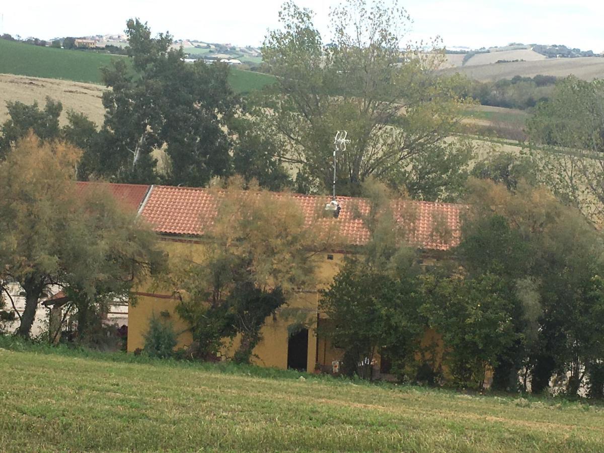 Agriturismo Fattoria Del Colle Jesi Exteriör bild
