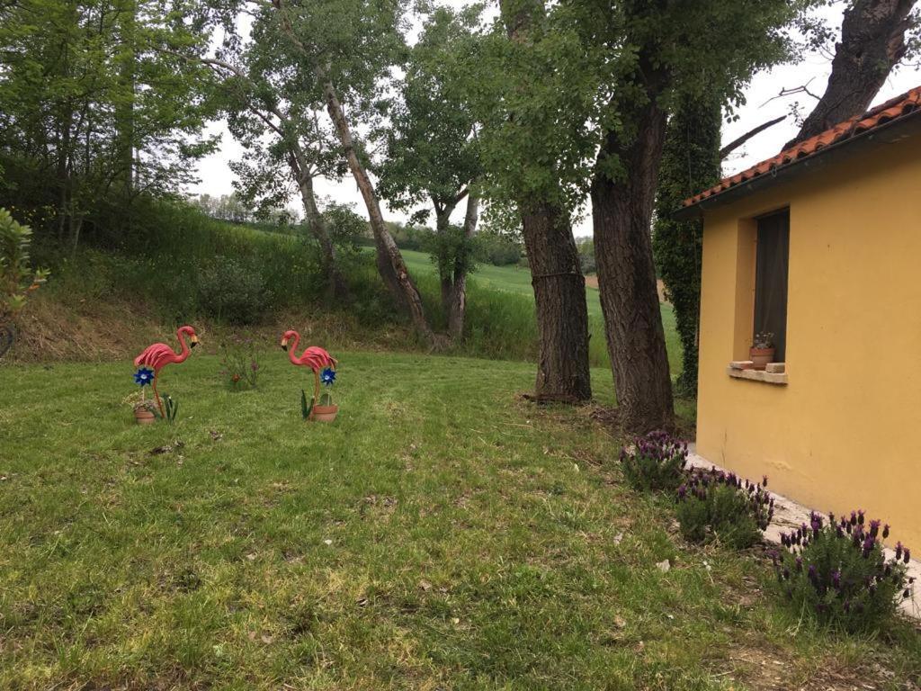 Agriturismo Fattoria Del Colle Jesi Exteriör bild