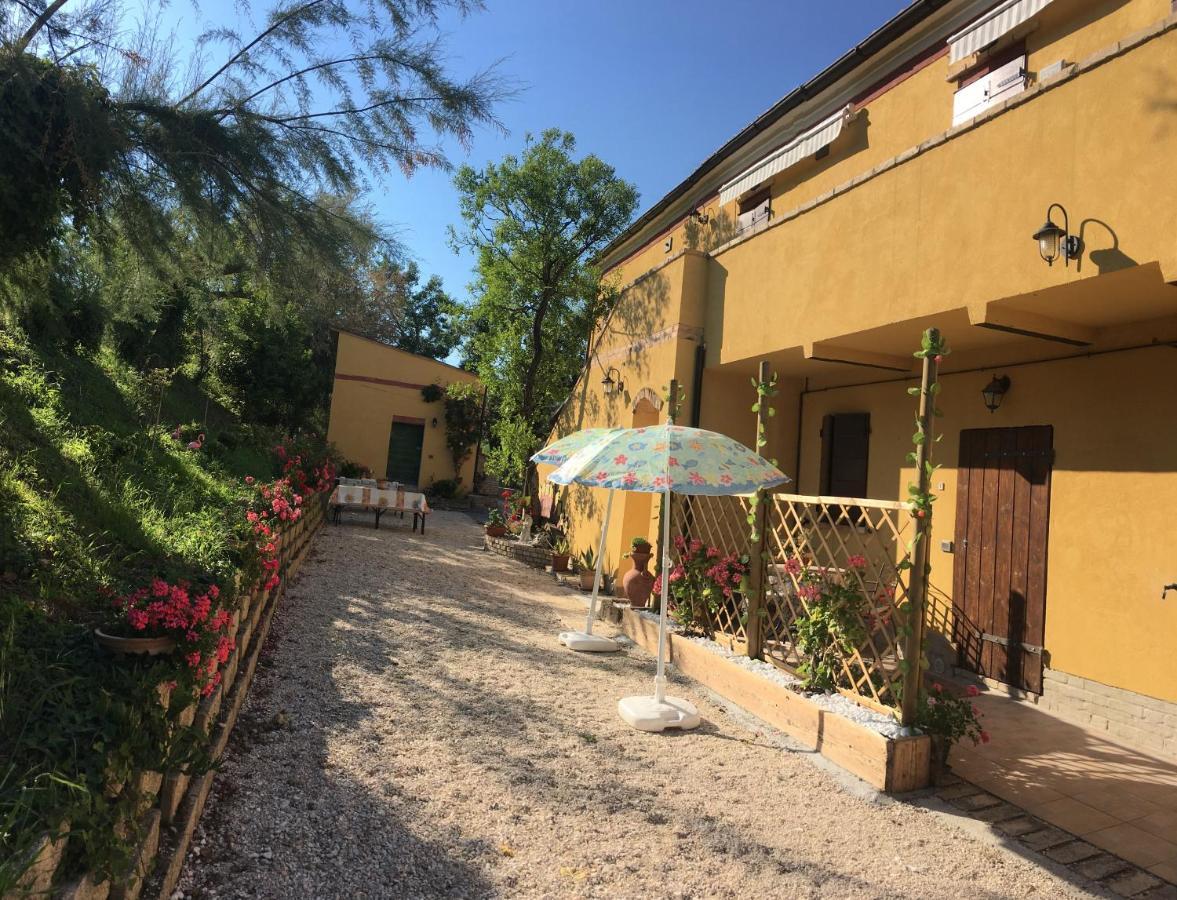 Agriturismo Fattoria Del Colle Jesi Exteriör bild