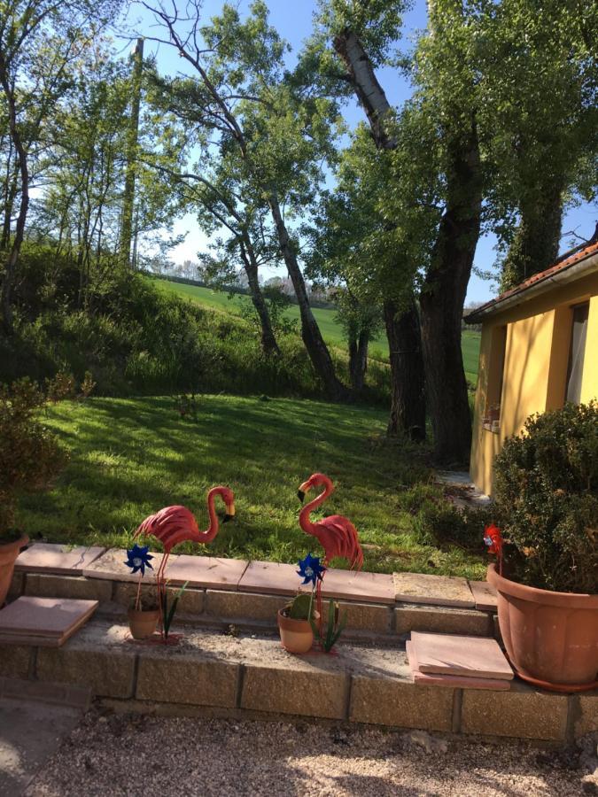 Agriturismo Fattoria Del Colle Jesi Exteriör bild